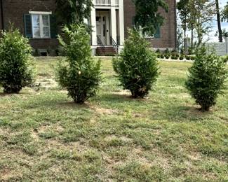 Own a historic home with some history.  Auction of home the week after the estate sale.