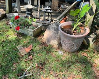 Plants and more plants