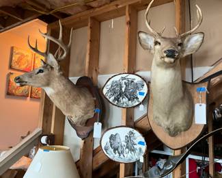 Deer Heads