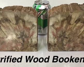 Pair of Petrified Wood Bookends