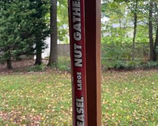 Weasel nut gatherer. 