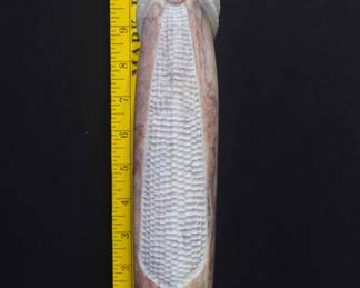 Native American Stone Carving