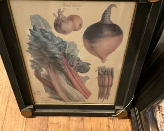 Another vegetable picture