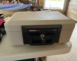 Sentry portable safe
