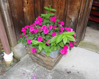 Planters