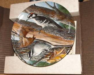Collector plates birds and more