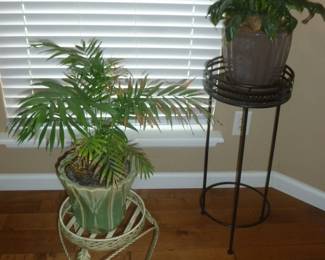 plants & plant stands