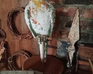 Parrot from Higgins Shoes