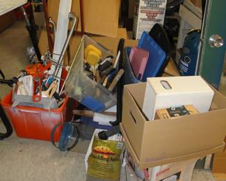 It pays to look at each and every picture that we take, because it is all for sale