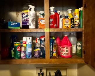 Cleaning Supplies $1