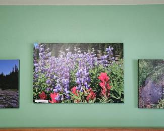 Photography on Canvas