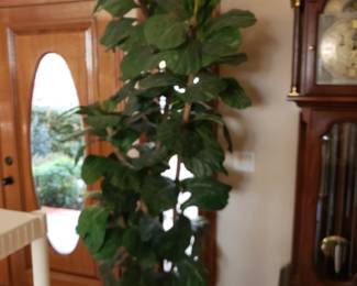 Several artificial plants