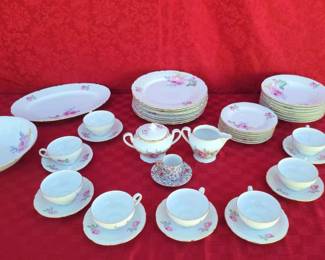 Fine Bohemian China Set
