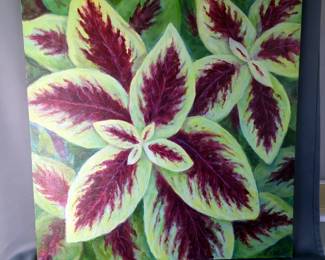 H. Miller "Carmine Coleus" Stretched Canvas Painting, 36" x 36" 