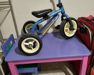 Tricycle and childs table and chair