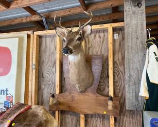 DEER HEAD TAXIDERMY MOUNT