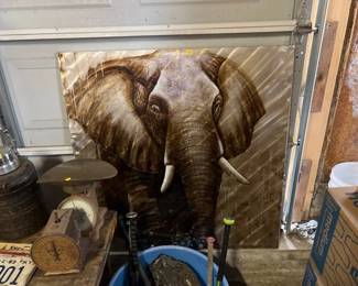 ELEPHANT PICTURE