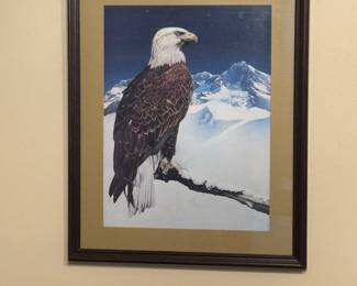 American bald eagle