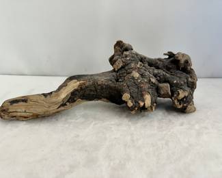 driftwood