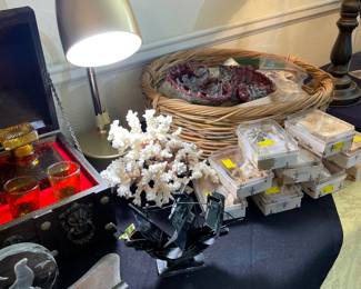 Coral, Treasure Chest Decanter Holder, Assorted Seashells in Gift Boxes, Variety of Seashells Bagged