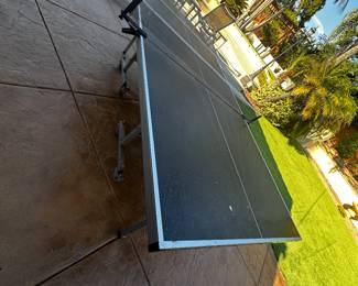 Ping pong table