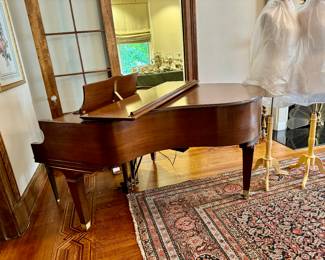 Chickening baby grand piano