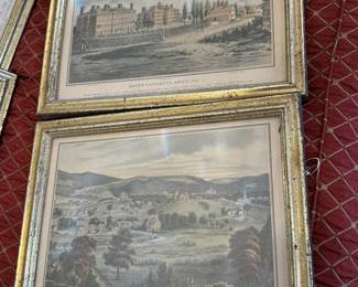 Brown and William College