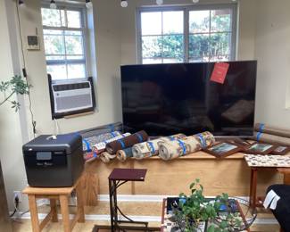 Safe, cleaned rugs, large TV