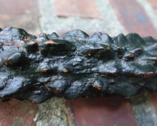 CIVIL WAR MILITARY GENERAL MARK WENTWORTH BLACKTHORN WOOD CANE