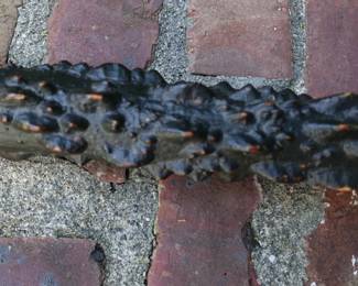 CIVIL WAR MILITARY GENERAL MARK WENTWORTH BLACKTHORN WOOD CANE