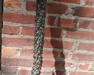 CIVIL WAR MILITARY GENERAL MARK WENTWORTH BLACKTHORN WOOD CANE