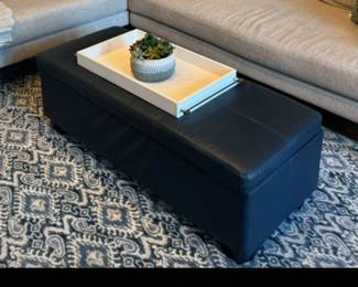 Faux Leather Trunk Ottoman 47" W x 19" D x 17" H $125                                                                                                     
Blue and White Carpet 7'8" X 10' 9" $285
