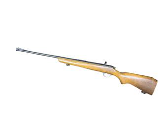 #33 Marlin Glenfield Mod. 25. 22 SLLR CAL. Missing clip