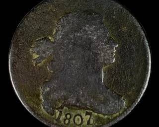 wIMG 4747 t