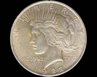 wIMG 5181 t