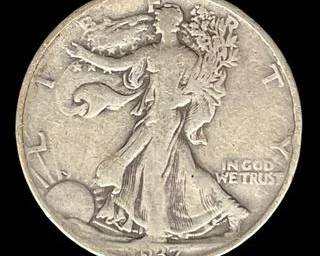 wIMG 6975 t