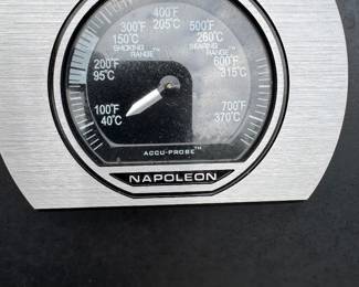 Napolean grill
