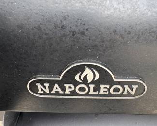 Napolean propane gass grill