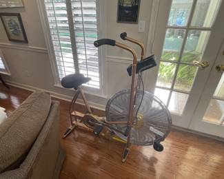 Schwinn Air- Dyne