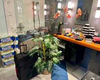 Bedroom Bathroom Upstairs 