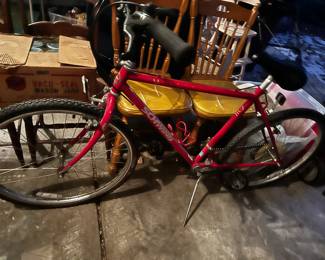 SCHWIN BIKE