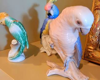 Gorgeous birds, but why are they all looking at their feet?