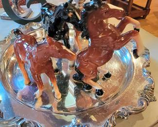 Gorgeous little phillies..