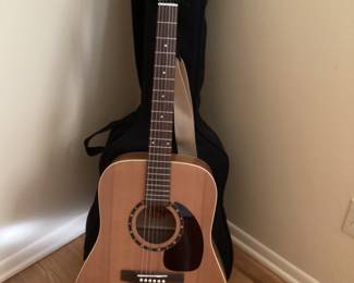 Norman acoustic guitar.