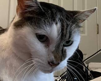 I will be at home. They can sort their own books. I should call someone. 