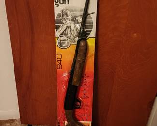 Daisy BB/Pellet gun 