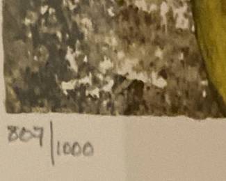 807/1000 - Art by Graciela Rodo Boulanger