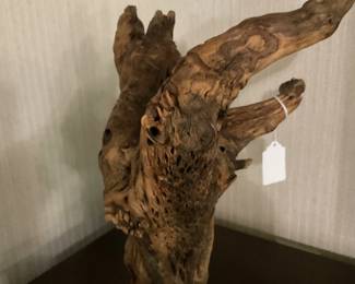 Petrified wood sculpture