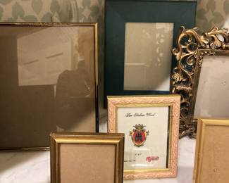 Some of the many frames