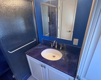 FOR SALE or RENT or TRADE FOR RV: CONTACT 480 577-8396 for details:  9 month special $1,350/mth includes utilities furnished with bed, futon, refrigerator, washer and dryer toaster, coffee maker, dishwasher.&nbsp;&nbsp;Home is all new and remodeled.  Access to all facilities, pool, gym and pickleball courts.  